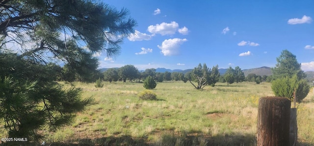 5858 N Cosnino Rd, Flagstaff, AZ 86004 - photo 6