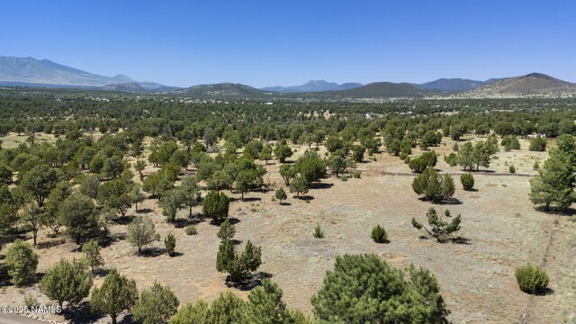 5858 N Cosnino Rd, Flagstaff, AZ 86004 - photo 10