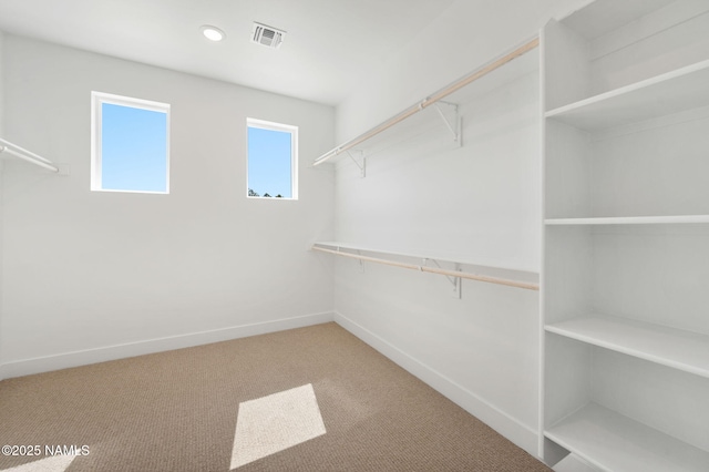 555 N Valerian Ln Lot 24, Flagstaff, AZ 86004 - walk in closet featuring carpet flooring