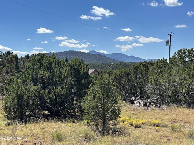 1751 E Whitehall Dr Unit 762, Williams AZ, 86046 land for sale