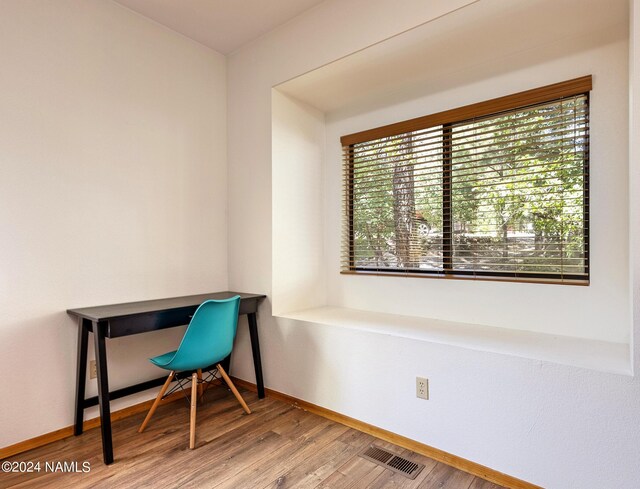 office featuring wood-type flooring