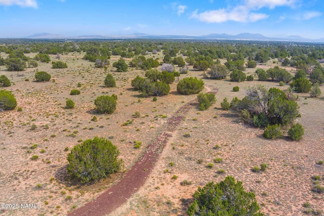 10448 S Rim Ranch Rd, Williams, AZ 86046 - photo 40