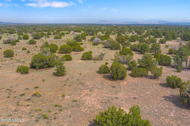 10448 S Rim Ranch Rd, Williams, AZ 86046 - photo 46