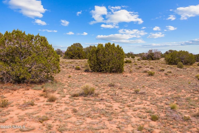 10448 S Rim Ranch Rd, Williams, AZ 86046 - photo 68