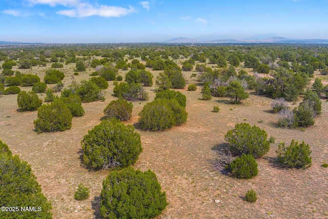 10448 S Rim Ranch Rd, Williams, AZ 86046 - photo 43
