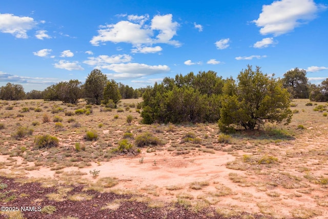 10448 S Rim Ranch Rd, Williams, AZ 86046 - photo 66