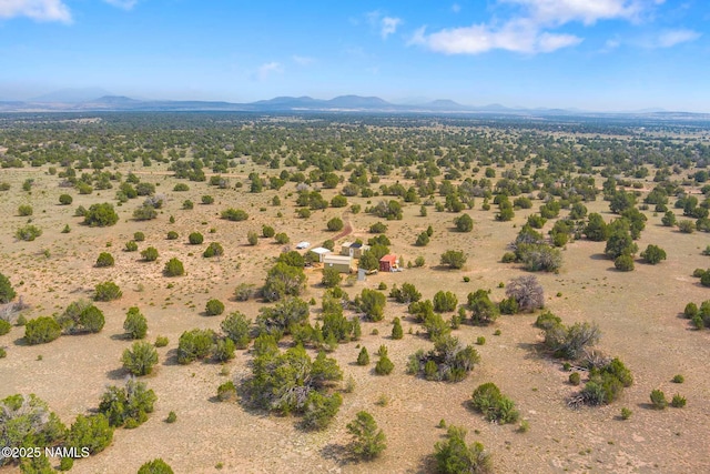 10448 S Rim Ranch Rd, Williams, AZ 86046 - photo 50