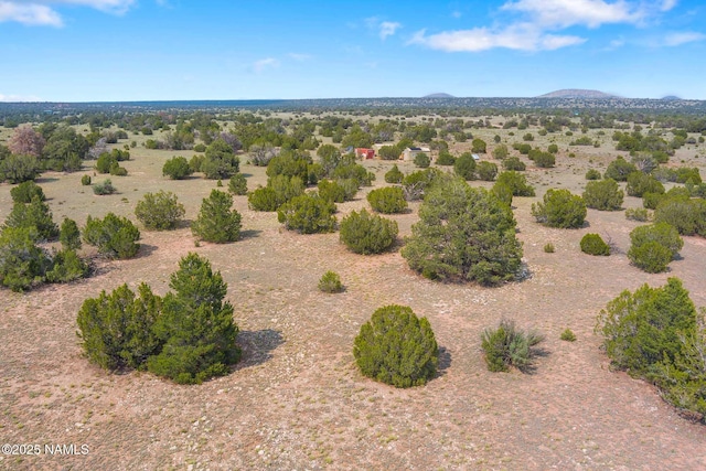 10448 S Rim Ranch Rd, Williams, AZ 86046 - photo 44