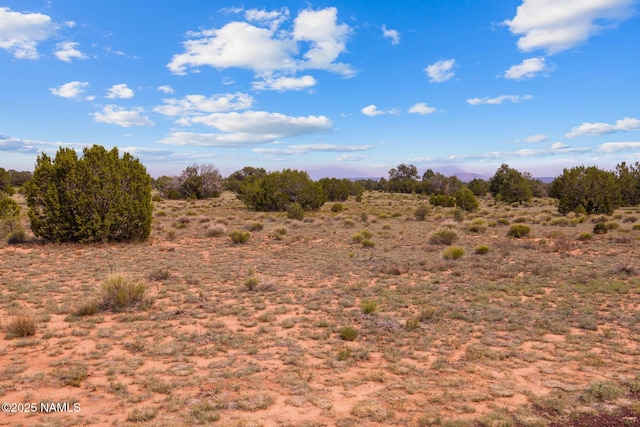 10448 S Rim Ranch Rd, Williams, AZ 86046 - photo 67