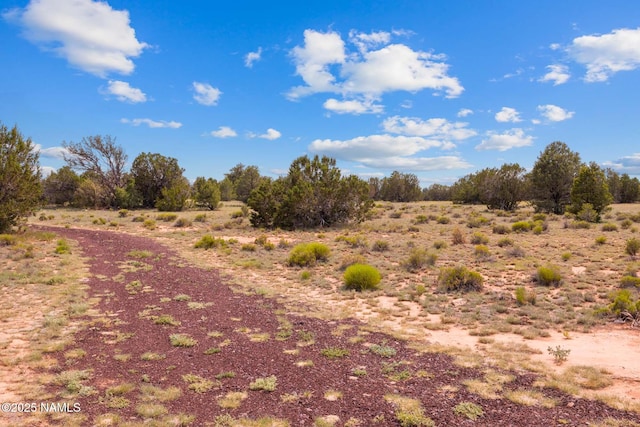 10448 S Rim Ranch Rd, Williams, AZ 86046 - photo 62