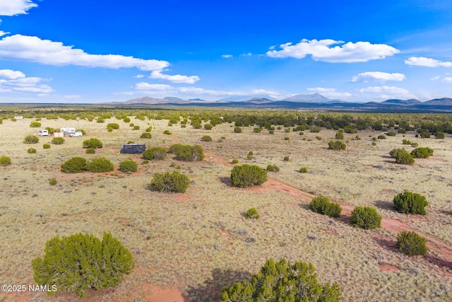 4631 E Valley View Dr, Williams, AZ 86046 - photo 3