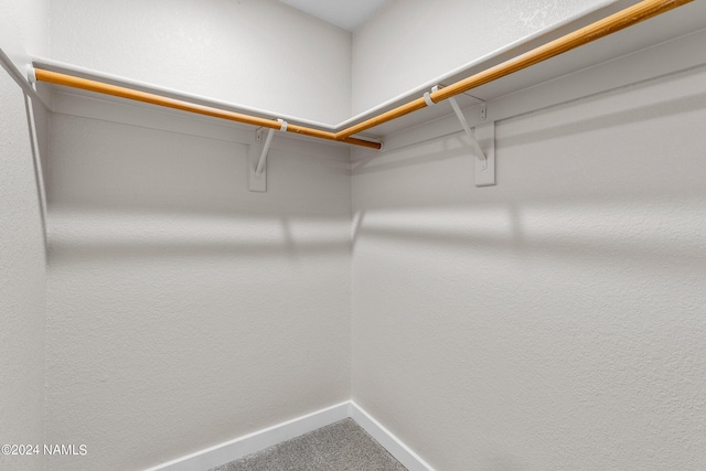 walk in closet with carpet