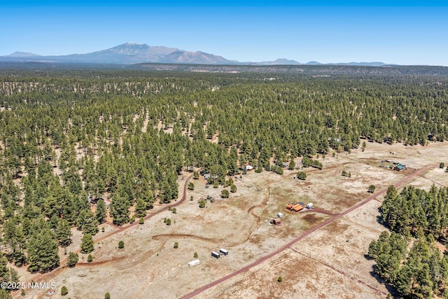 5984 Big Game Trl, Flagstaff, AZ 86005 - photo 14