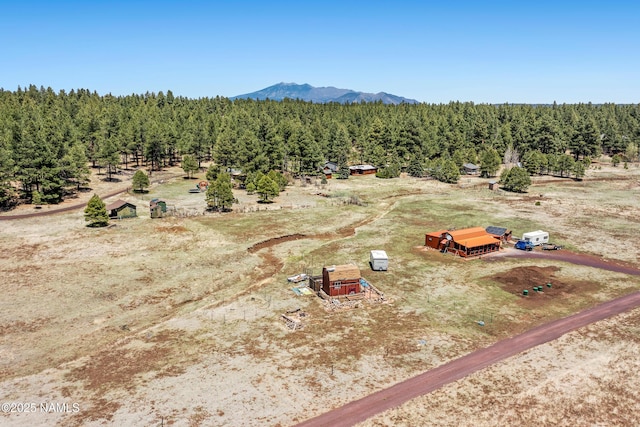 5984 Big Game Trl, Flagstaff, AZ 86005 - photo 10