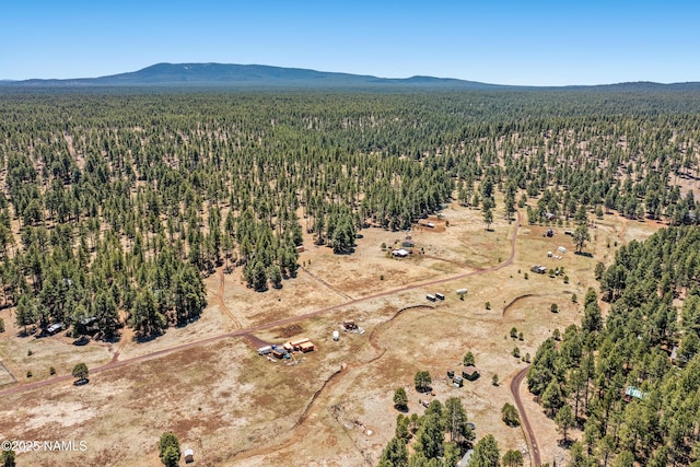 5984 Big Game Trl, Flagstaff, AZ 86005 - photo 17