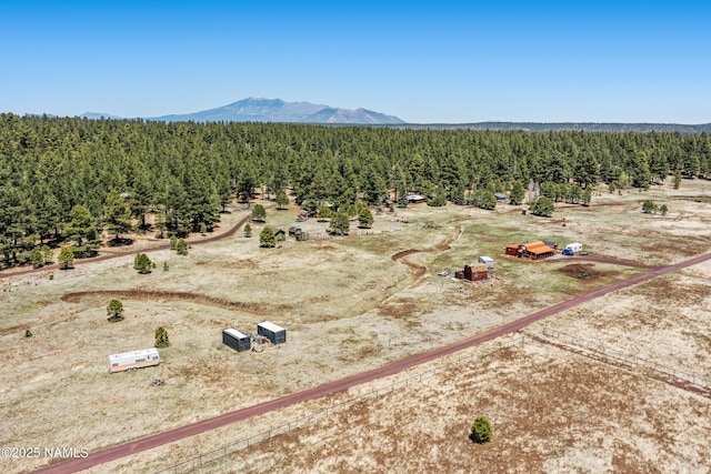 5984 Big Game Trl, Flagstaff, AZ 86005 - photo 13