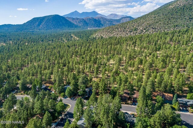 1100 E Appalachian Rd, Flagstaff, AZ 86004 - photo 3