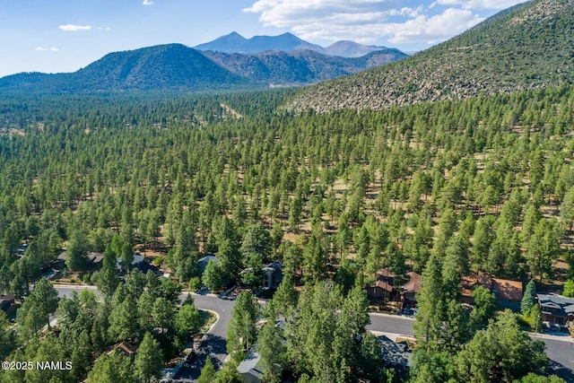 1100 E Appalachian Rd, Flagstaff, AZ 86004 - photo 19