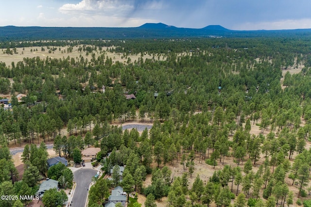 1100 E Appalachian Rd, Flagstaff, AZ 86004 - photo 129