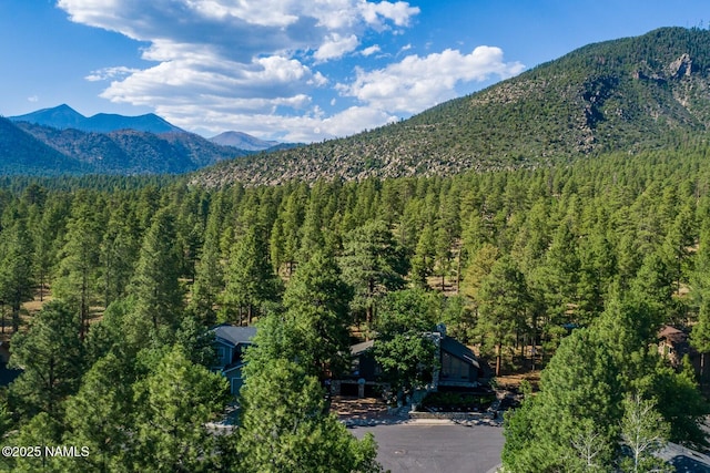 1100 E Appalachian Rd, Flagstaff, AZ 86004 - photo 148