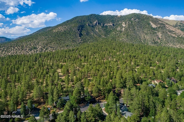 1100 E Appalachian Rd, Flagstaff, AZ 86004 - photo 144