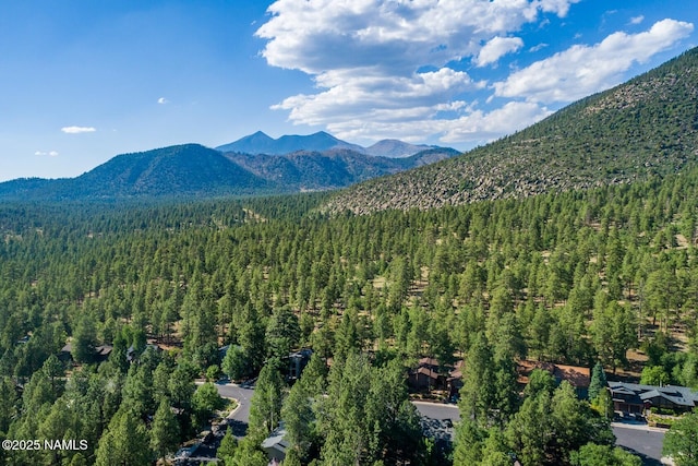 1100 E Appalachian Rd, Flagstaff, AZ 86004 - photo 30
