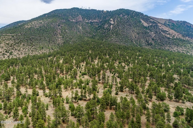 1100 E Appalachian Rd, Flagstaff, AZ 86004 - photo 131