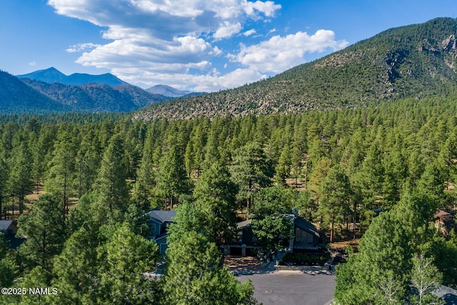 1100 E Appalachian Rd, Flagstaff, AZ 86004 - photo 146