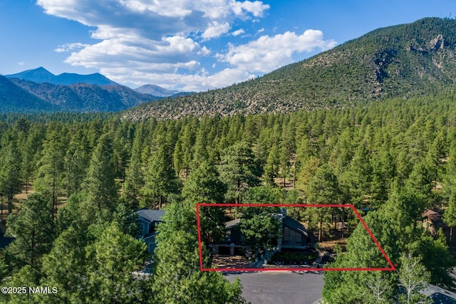 1100 E Appalachian Rd, Flagstaff, AZ 86004 - photo 147
