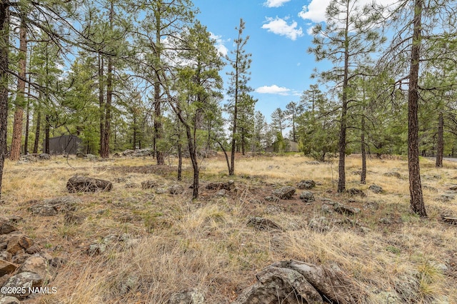view of local wilderness