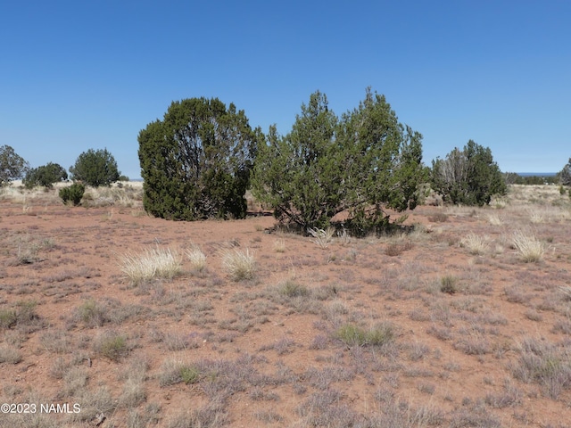 2209 Page Dr Unit 121, Williams, AZ 86046