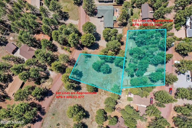 325 Lodge Dr, Munds Park, AZ 86017 - aerial view of property and surrounding area featuring property boundaries highlighted