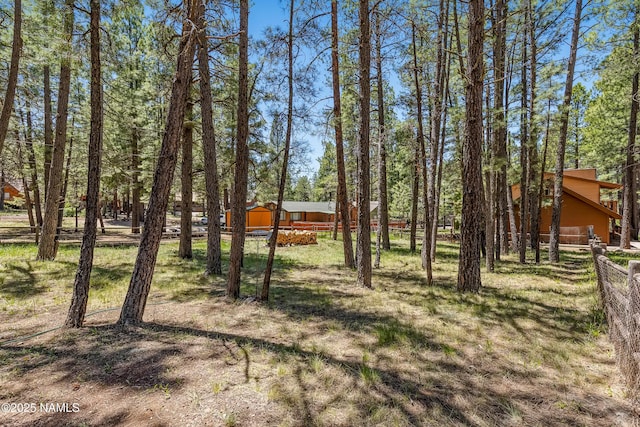 325 Lodge Dr, Munds Park, AZ 86017 - view of yard