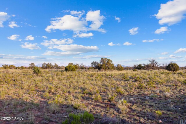4436 Indian Meadows Rd, Williams, AZ 86046 - photo 22