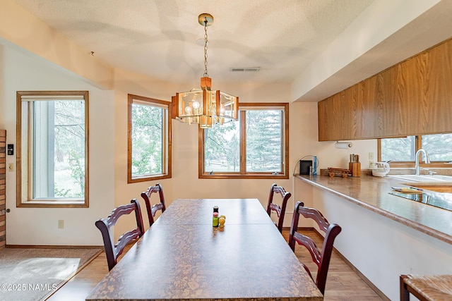 dining space featuring sink, a chandelier, a textured ceiling, and light hardwood / wood-style flooring