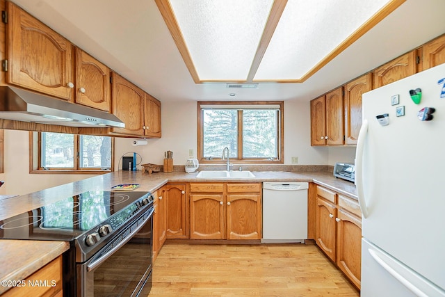 kitchen with sink, white appliances, a wealth of natural light, and light hardwood / wood-style floors