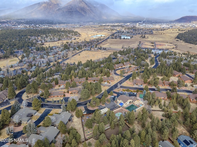 birds eye view of property featuring a mountain view