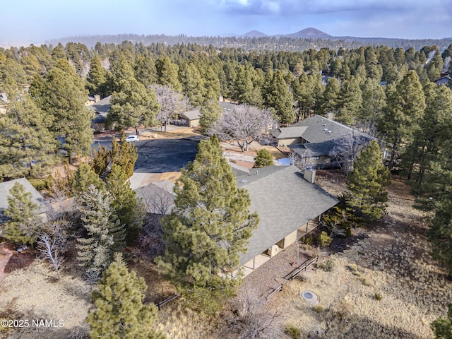 birds eye view of property featuring a mountain view