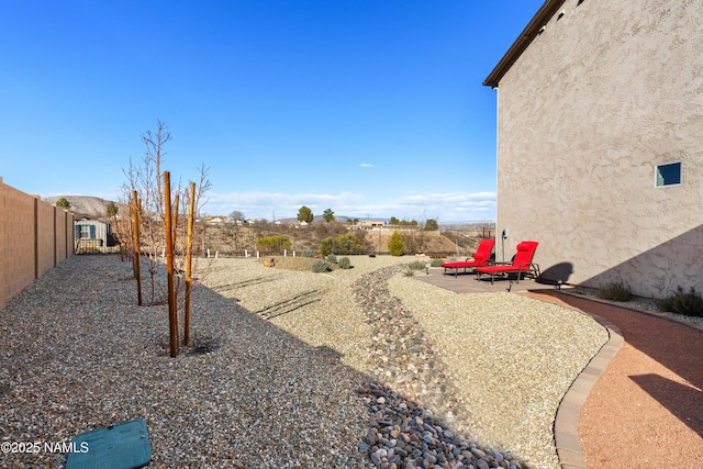 view of yard with a patio