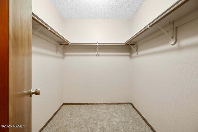 2120 N Whitetail Way, Flagstaff, AZ 86004 - photo 17