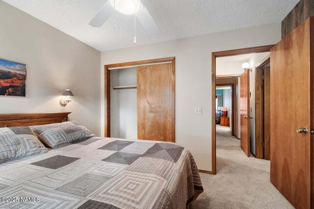 2120 N Whitetail Way, Flagstaff, AZ 86004 - photo 18