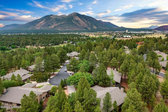 2120 N Whitetail Way, Flagstaff, AZ 86004 - photo 31