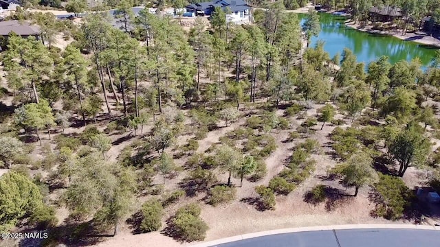 705 N Snowberry Cir, Payson AZ, 85541 land for sale