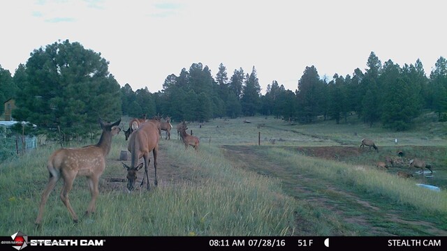 5356 Stonehouse Dr, Flagstaff, AZ 86005 - photo 18