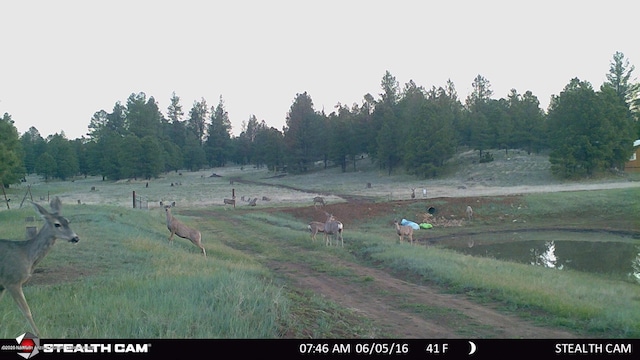 5356 Stonehouse Dr, Flagstaff, AZ 86005 - photo 19