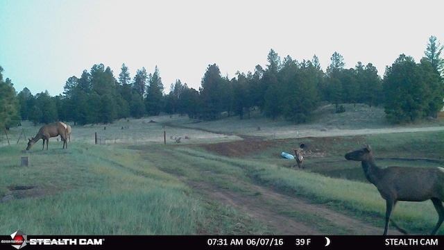 5356 Stonehouse Dr, Flagstaff, AZ 86005 - photo 20