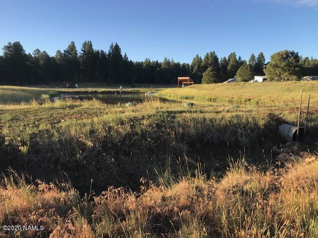 5356 Stonehouse Dr, Flagstaff, AZ 86005 - photo 13
