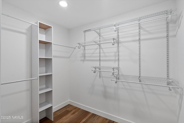 3707 E Amelia Ave, Phoenix, AZ 85018 - walk in closet with dark wood-style flooring