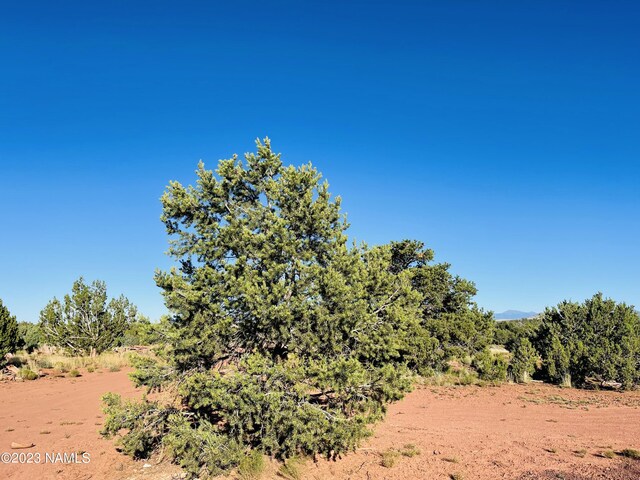 Listing photo - caption unavailable