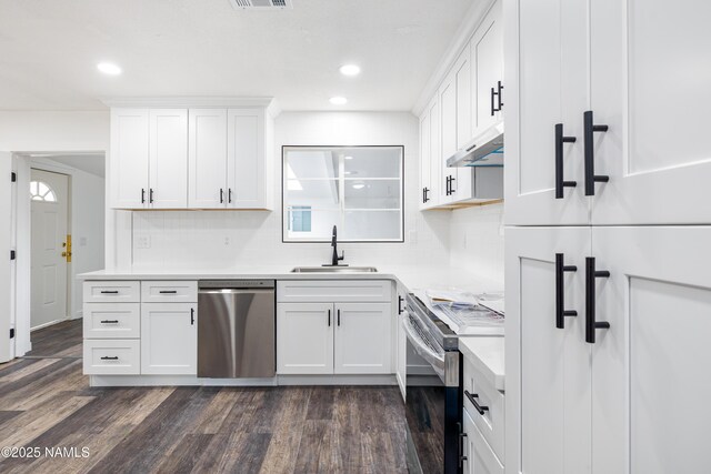 2814 N Patterson Blvd, Flagstaff, AZ 86004 - kitchen featuring stainless steel dishwasher, range with electric stovetop, under cabinet range hood, a sink, and dark wood-style flooring